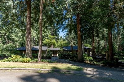 Bridle Trails Treehouse