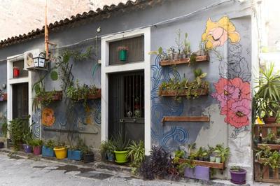 Stefano's house