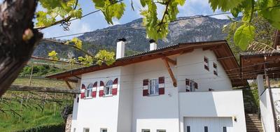 Für 4-6 Wohnhaus im Weinberg - Voldersberghof