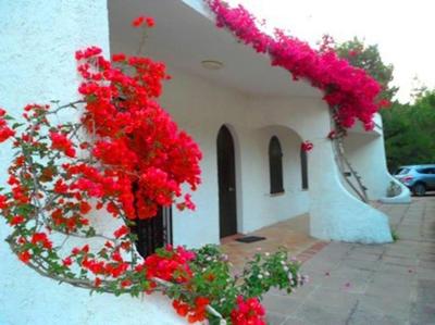 Indipendent villa at only 100 mt. from the beach
