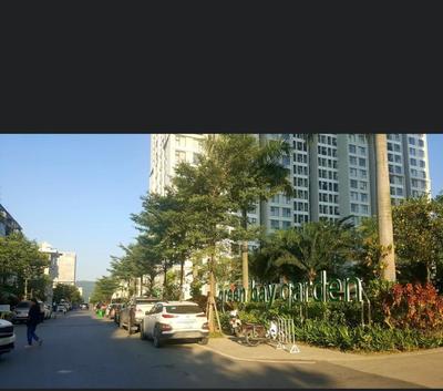 Green love Hạ Long