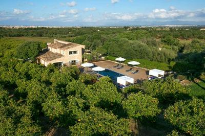 Son Genet by Vintage Travel