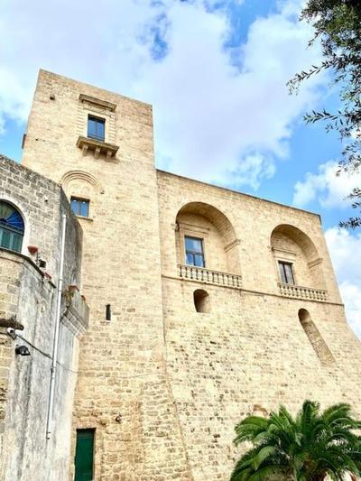 Palazzo dei Gigli Puglia - house with heatable rooftop-Pool