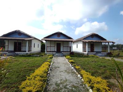 Falcon Jungle Resort
