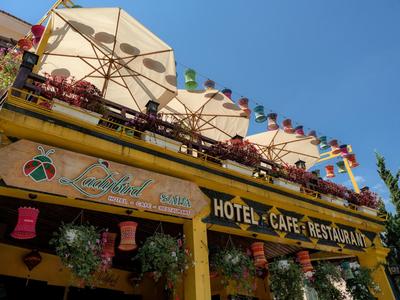Ladybird Boutique Hotel