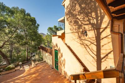Caposchiera a Pinus village