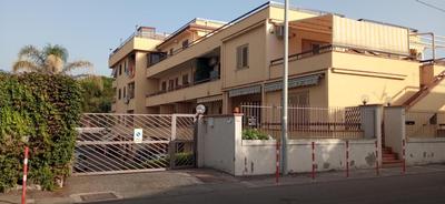 Home Tropicana