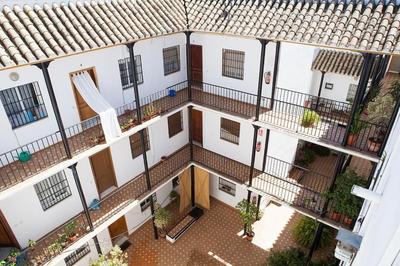 COZY APARTMENT IN THE CENTER OF SEVILLE