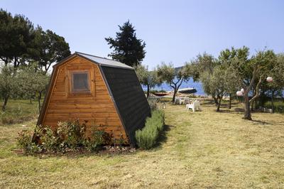 Beach House Olive