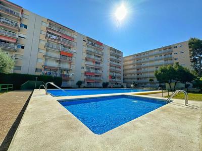 DOMuum Holidays - DMS III POOL