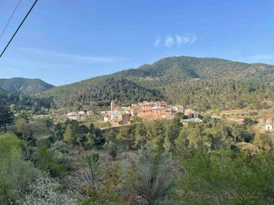 Pequeño estudio ubicado en plena Sierra de Espadán
