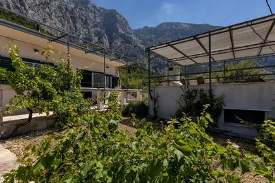 Cottage Baskovic in nature park
