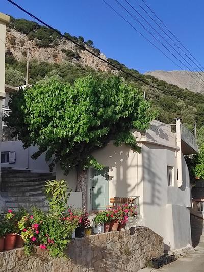 Endiktis Art Home Katofigi