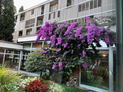 Residence Villa Alba