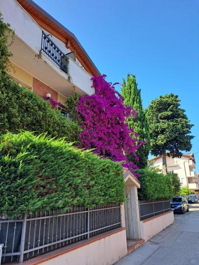 B&B Carlotta