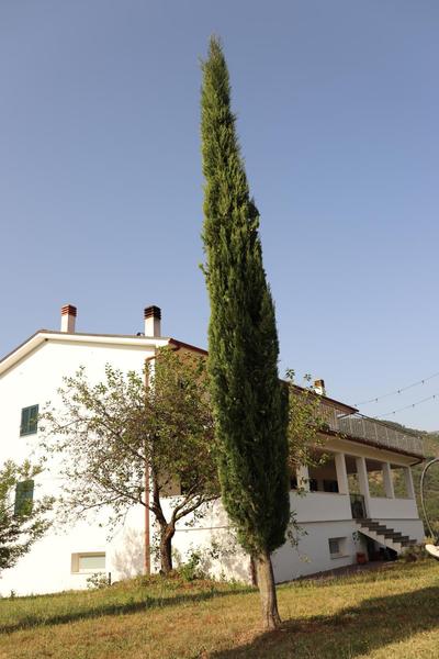 Azienda Agricola Sebastiani