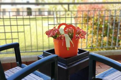 apartmentnearvenice