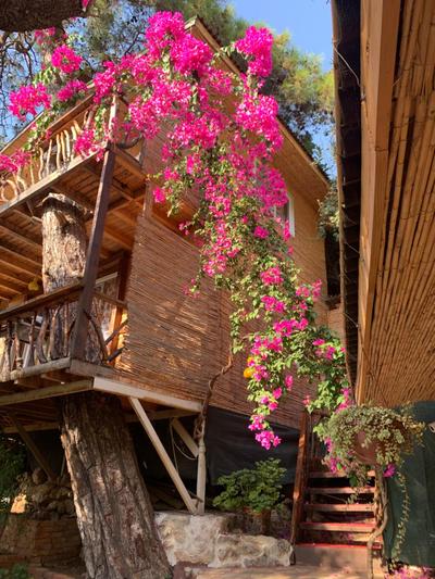 Large Bungalow with Sea View in Kabak Bay, Ölüdeniz