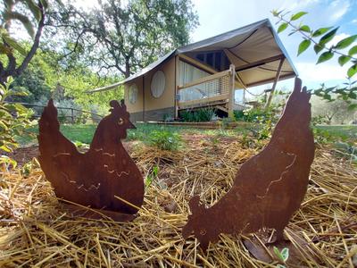 Wine Glamping Le Sedici