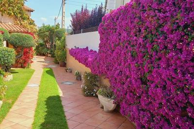 Casa con jardín en Roda de Bará