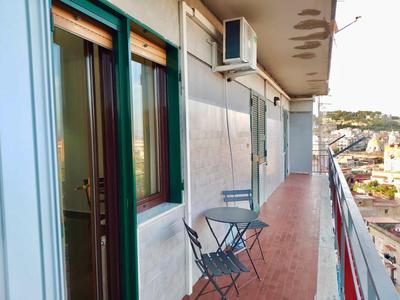 Silvana House