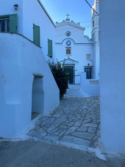 Cycladic house with amazing view in Potamia village