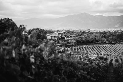 Tenuta Pezzapane