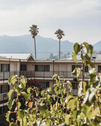 Marin Suites Hotel, 写真 2