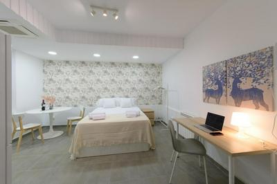 For You Rentals Acogedor y Espacioso Estudio TEMPORAL en Madrid GJR6