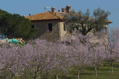 Agriturismo Il Sassolino, Photo 2