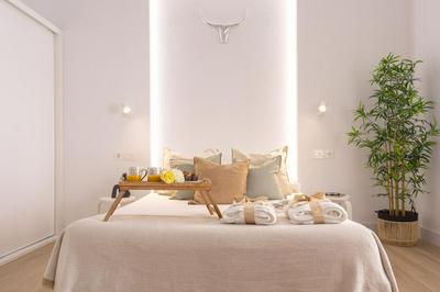 -MalagaSunApts- CityCenter Spacious Studio