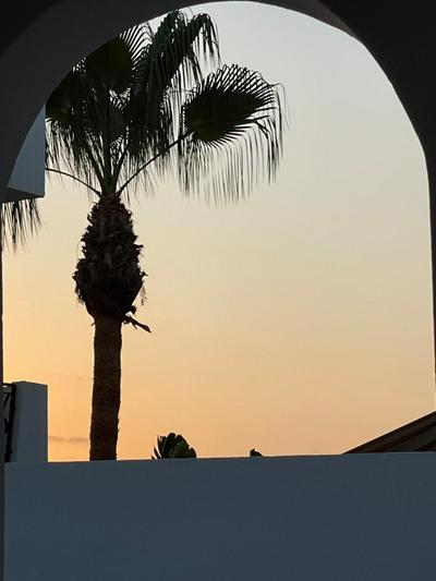 Casa Palmera