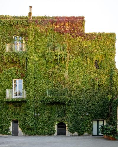 Palazzo De Gregorio Apartments