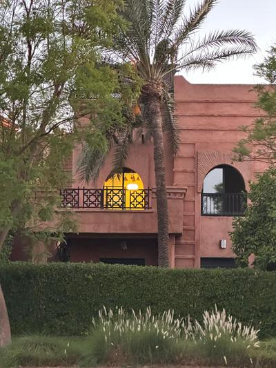 Palm View