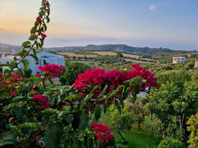 Country house with amazing sea view