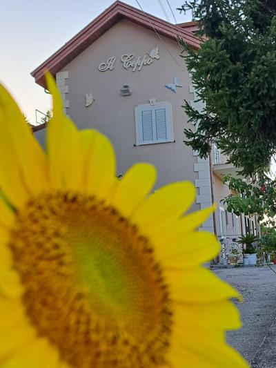 IL CEPPO sui sentieri per Amalfi
