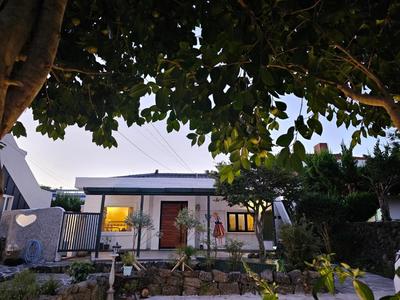 Dabin Jeju Grass Flower