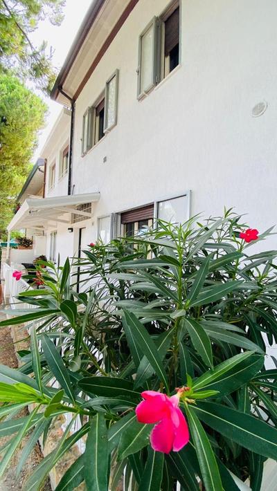 TRILOCALE Riccione in vacanza!