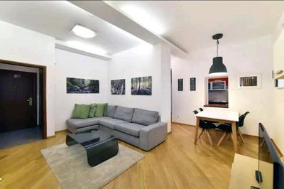 Apartment Viktor
