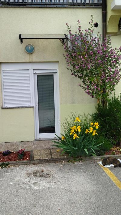 Studio Apartments Grazia