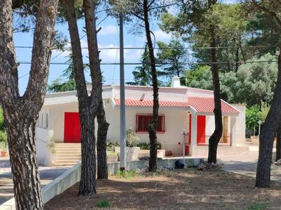 Villa con pineta
