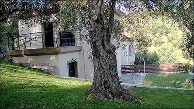 PELIONBLUE VILLAs