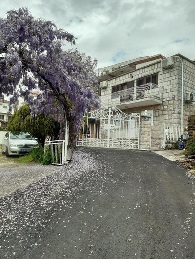 Apartman Dardic