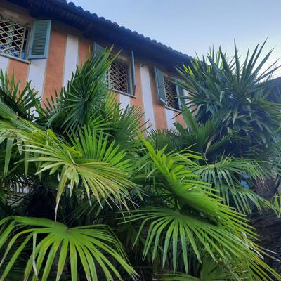 Segnavento -Rooms and Suites B&B a Manta vicino Saluzzo