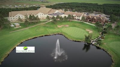 Thumper Pond Resort, 写真 2