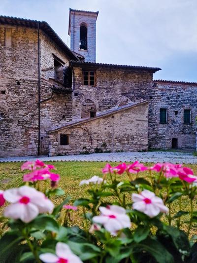 O rosa bella Appartamento via savelli della porta 24