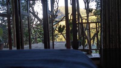Ella nature nest