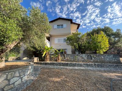Olive stone Villa