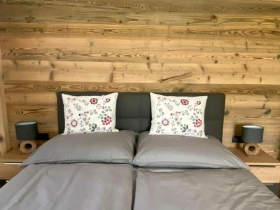 Neues Luxus APARTMENT DACHSTEIN - Ramsau am Dachstein - inklusive Sommercard!