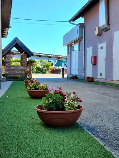 Hostel Suzzzy